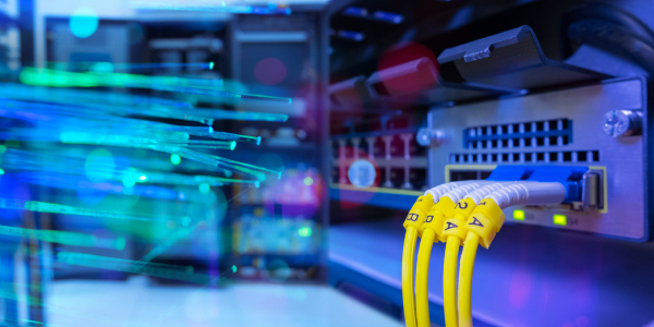 Fiber optic web image